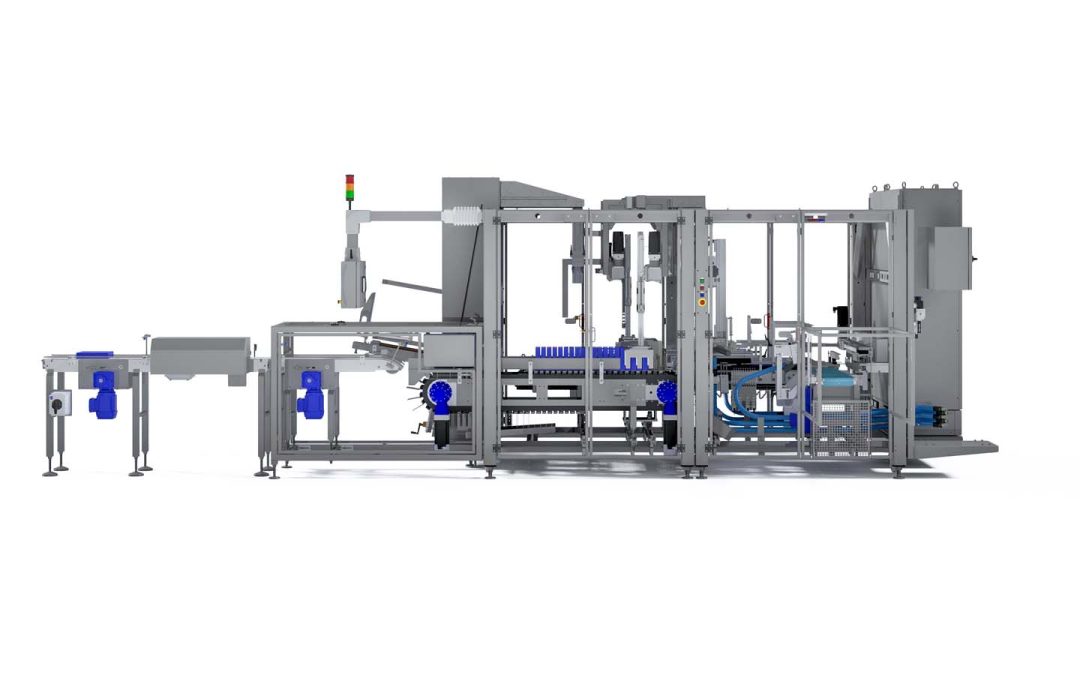 Wrap Around Case Packer