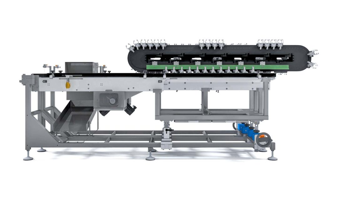 Magnetic carrier system